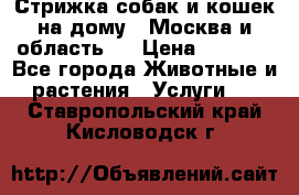 Стрижка собак и кошек на дому.  Москва и область.  › Цена ­ 1 200 - Все города Животные и растения » Услуги   . Ставропольский край,Кисловодск г.